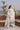 Dhanak-3PC Chikankari Embroidered Shirt with Khadi Net Embroidered Dupatta - 6335