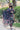 3PC KARANDI PRINTED SHIRT WITH KARANDI PRINTED DUAPTTA AND TROUSER -1707