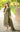 Dhanak-3PC Embroidered Shirt with Chiffon Embroidered Dupatta - 6449